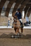 ref. photo 3365296