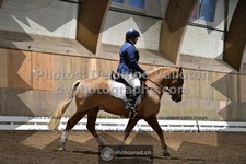 ref. photo 3365311