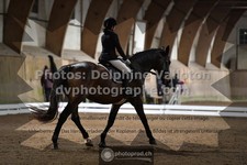 ref. photo 3365346