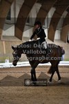 ref. photo 3365353