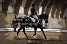 ref. photo 3365408