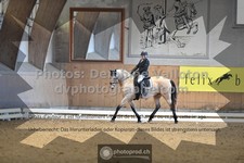 ref. photo 3365426
