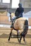 ref. photo 3365430