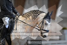 ref. photo 3365447