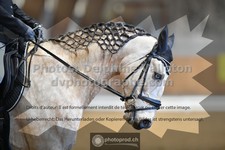 ref. photo 3365448