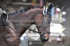 ref. photo 3365708