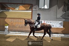 ref. photo 3365852