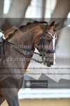 ref. photo 3365964
