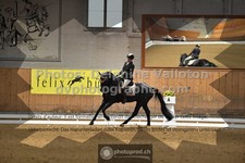 ref. photo 3366053