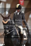 ref. photo 3366061
