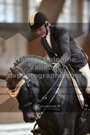 ref. photo 3366065