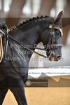 ref. photo 3366090