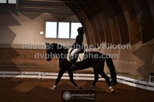 ref. photo 3366124