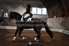 ref. photo 3366134