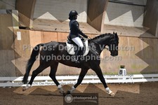 ref. photo 3366138