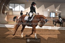 ref. photo 3366158