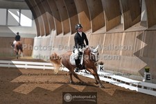 ref. photo 3366189