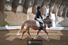 ref. photo 3366191