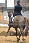 ref. photo 3366216