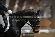 ref. photo 3366309