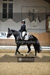 ref. photo 3366359