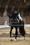 ref. photo 3366370