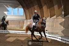 ref. photo 3366383