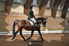 ref. photo 3366404