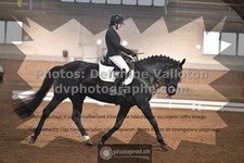 ref. photo 3366422
