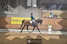 ref. photo 3366530