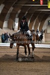 ref. photo 3366580