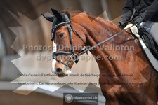 ref. photo 3366583