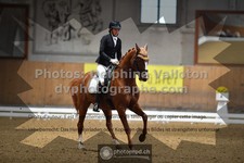 ref. photo 3366754