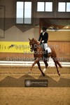 ref. photo 3366758
