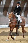 ref. photo 3366762