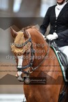 ref. photo 3366763
