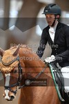 ref. photo 3366764