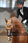 ref. photo 3366767