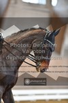 ref. photo 3366785