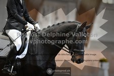 ref. photo 3366869