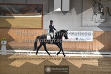 ref. photo 3366871