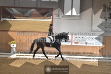 ref. photo 3366874