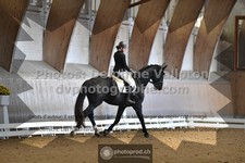 ref. photo 3366924