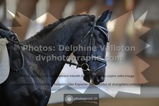 ref. photo 3366934