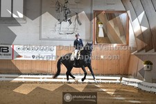 ref. photo 3366935