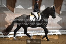 ref. photo 3366939