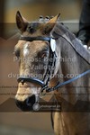 ref. photo 3366948
