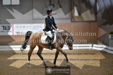 ref. photo 3366965