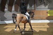 ref. photo 3366977