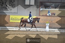 ref. photo 3366987